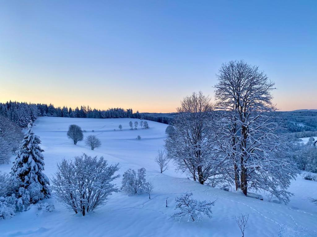 Gaestehaus Steiert Fewo Kuhbergblick เลนซ์เคียร์ช ภายนอก รูปภาพ